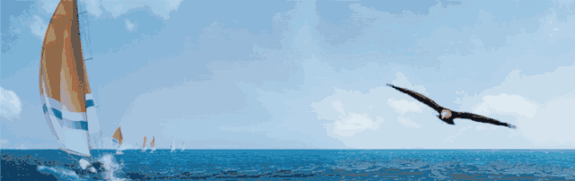 90年荣耀，璀璨永恒 2018年国际会计师AAIA毕业典礼在京隆重举行