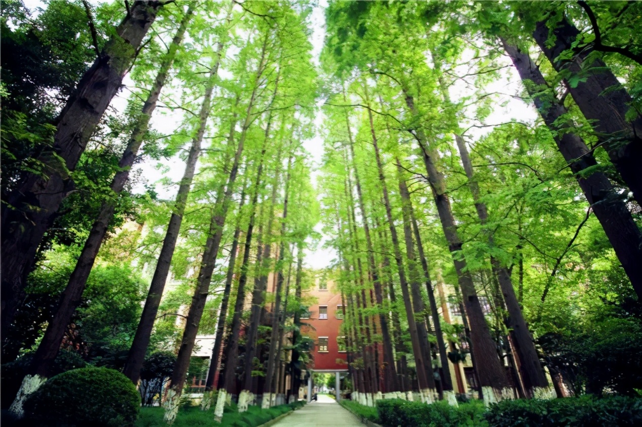 刚刚，2021上海市高考分数线公布！