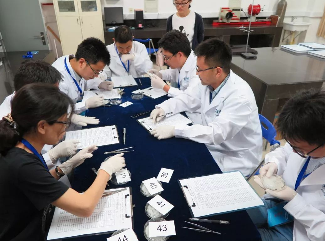 上海这所211改名“失败”，外地生觉得不靠谱，当地学生却很喜欢