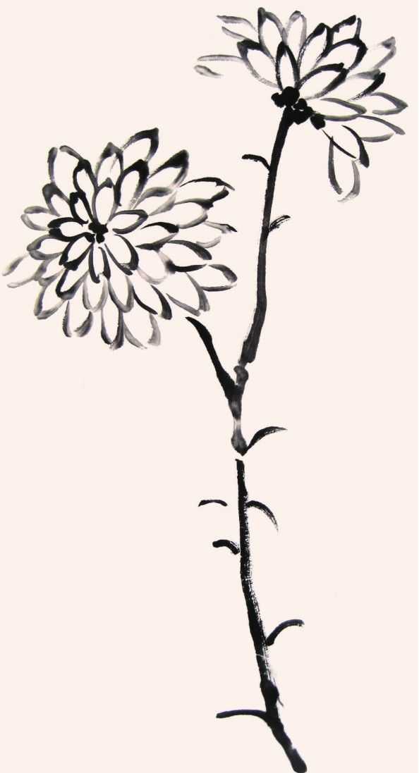 国画知识：不会画菊花？教你5种菊花画法，简单易学，快来临摹吧