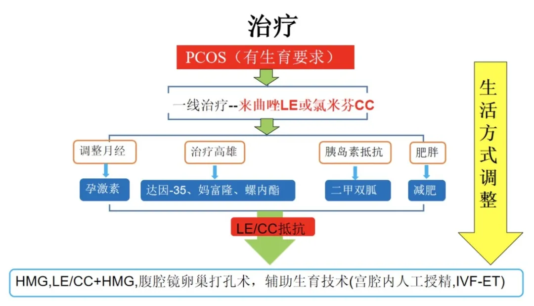 爆痘？肥胖？多毛？一直怀孕不上？一起走进多囊卵巢综合征