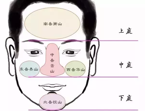 你曾经瞧不起的那些人，现在混得比你好！潜力股有哪些面相特征？