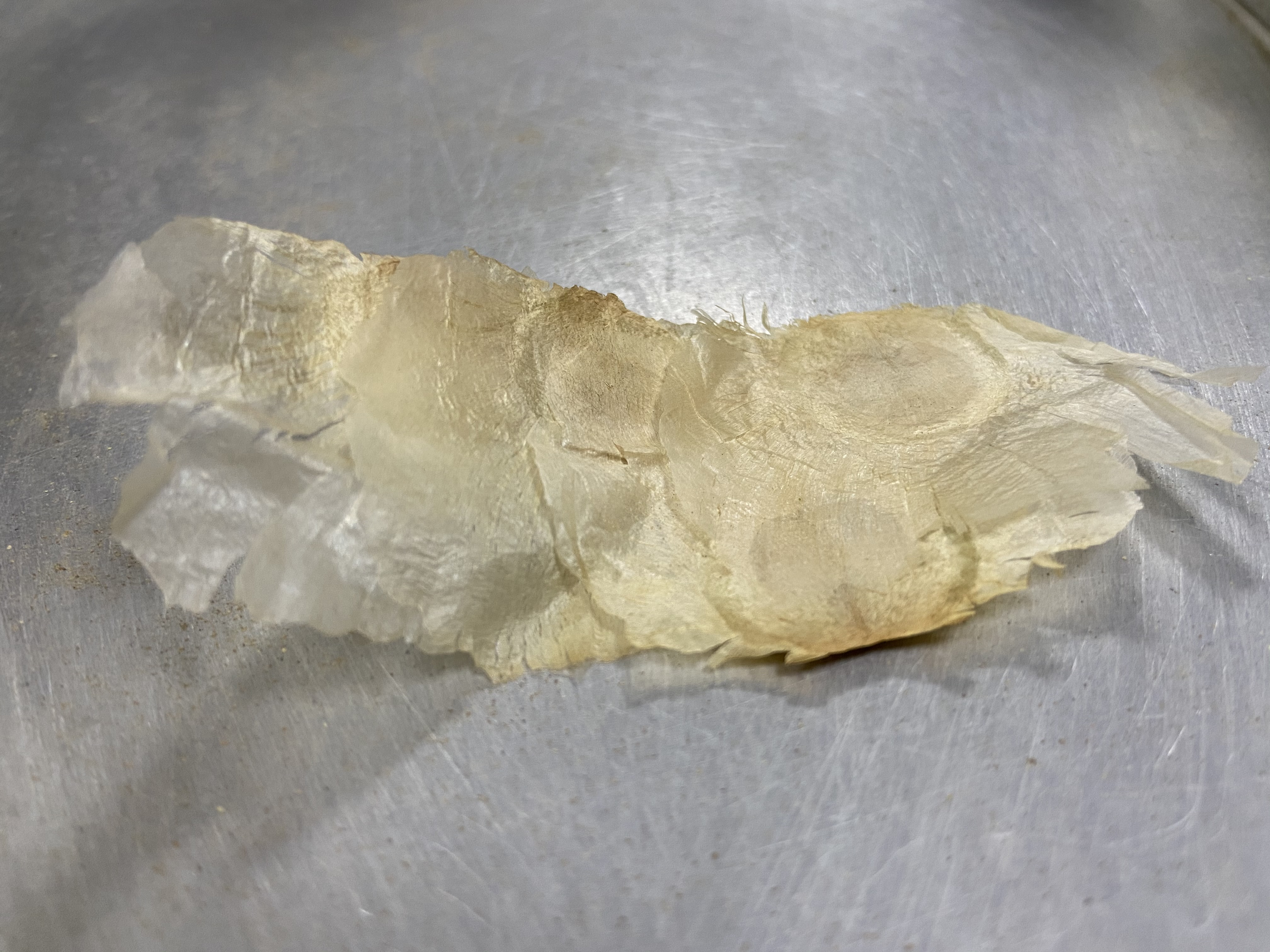 千层纸别名 -生活知识库-动动脑