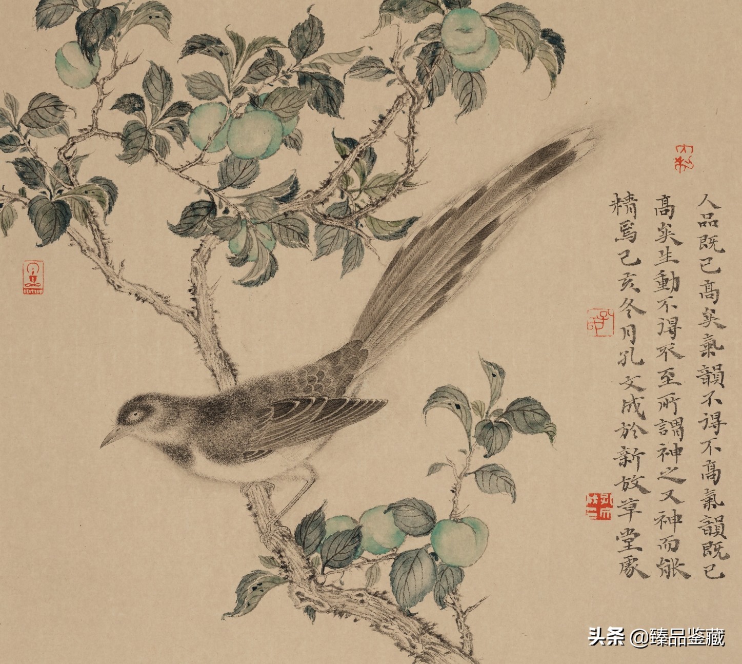 走到黑走到明 | 孔文成花鸟画的脉路