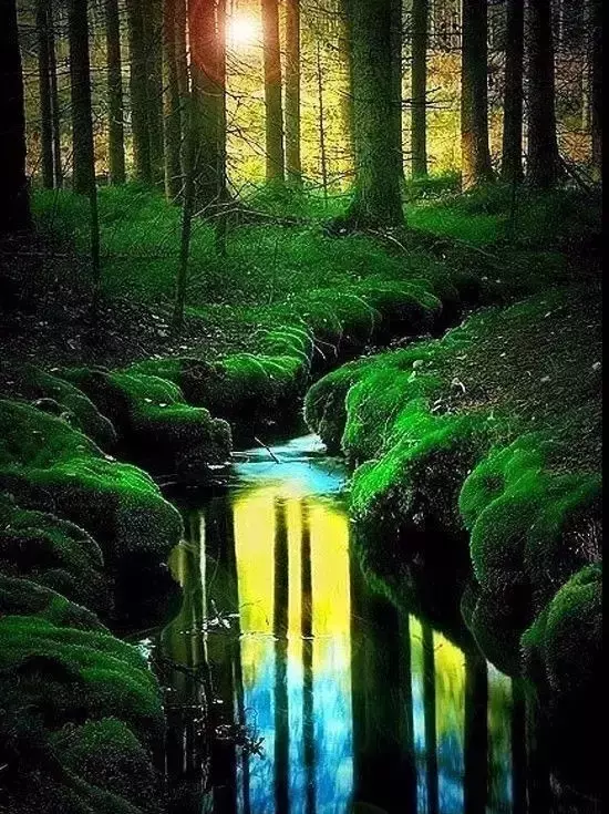 世界极致美景，一睹为快！