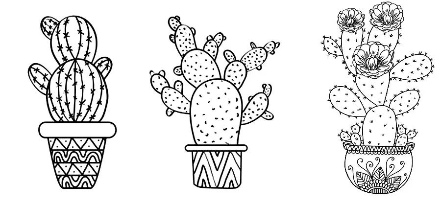记号笔课程构思仙人掌,是一种生命力十分顽强的奇特的热带植物,因为它