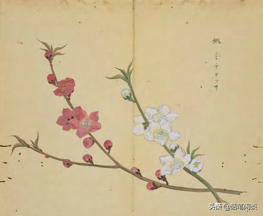 日本学者用心为《诗经》编了数百种图解，万物有灵，又美又细腻