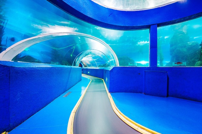 青岛旅游景点 青岛海底世界免费预约门票-北京百科网