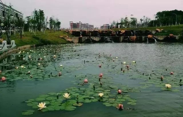 高职高考必看｜全面了解广东工贸职业技术学院