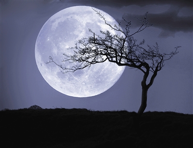 纯粹的自然,永远的心动#原创诗歌 · 月亮