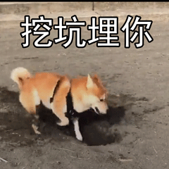 【搞笑段子】晚上逛超市结账时发现没带钱，打电话要老公送钱来