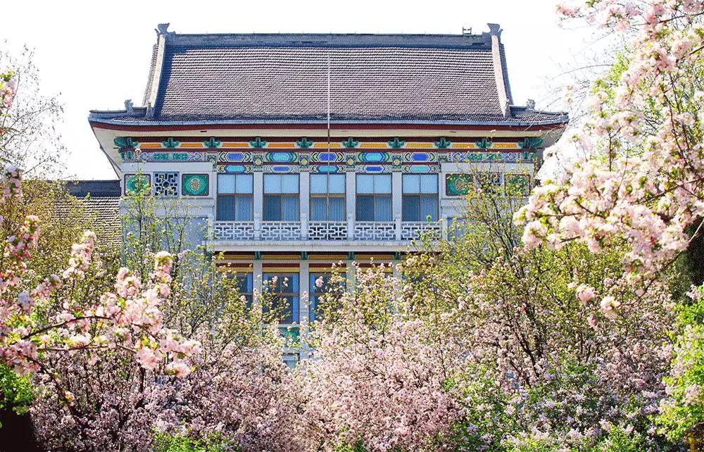 山东师范大学2020年艺术类专业招生简章