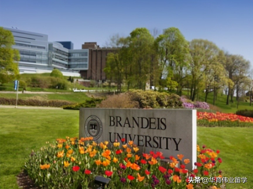 带你了解波士顿地区大学的那些王牌专业