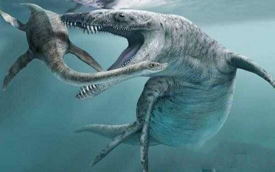 海里的恐龙叫什么名字图片