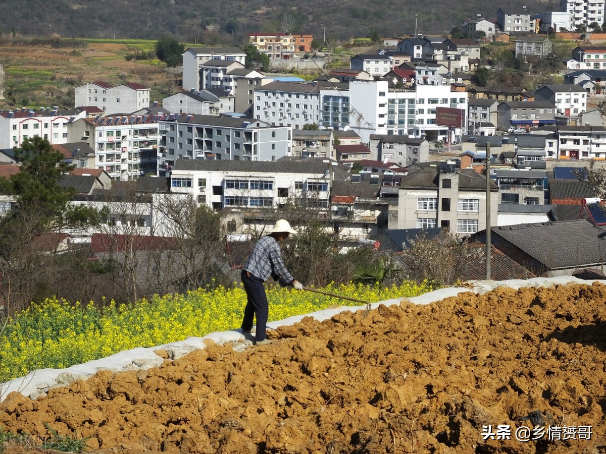 城市户口，如何才能迁回到农村户口