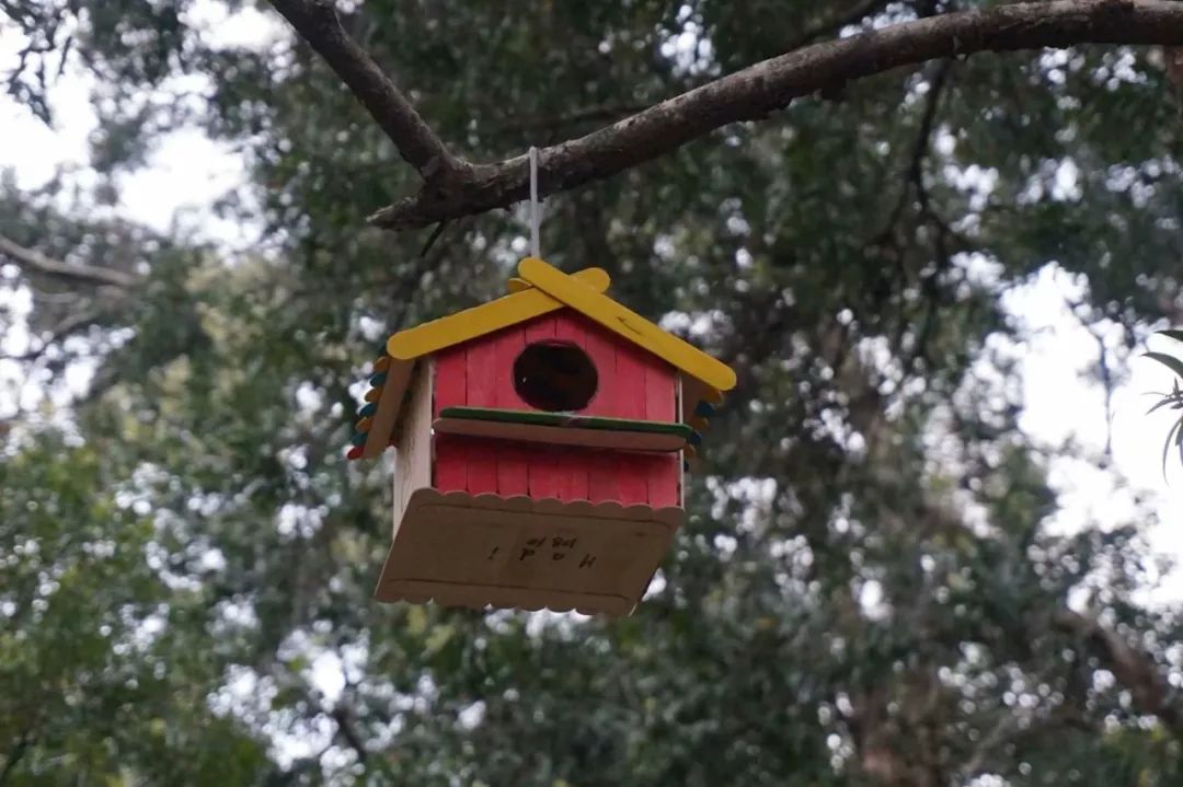 名校真相，广外外校受欢迎的秘诀在哪？