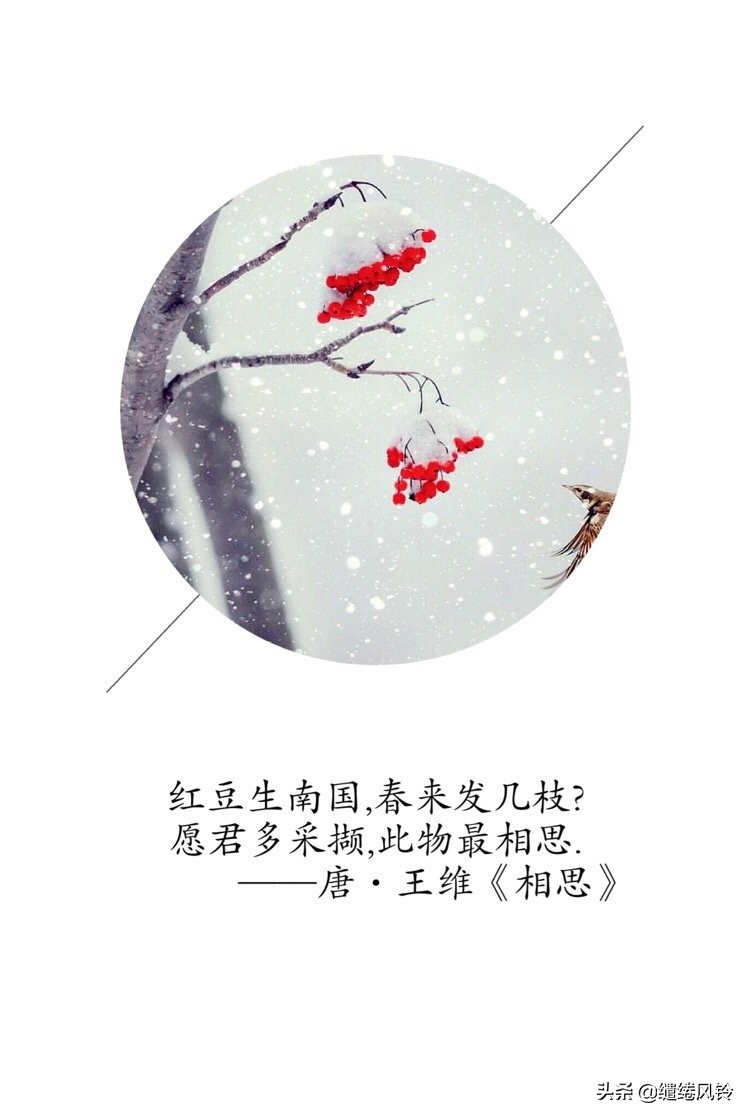 愿君多采撷,此物最相思.红豆生南国,春来发几枝?(唐)王维① 《相思》