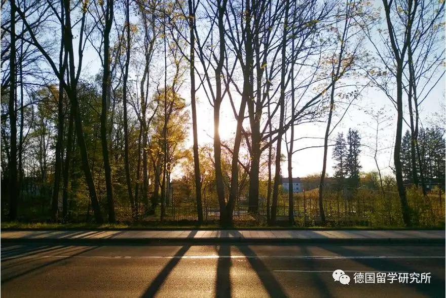 干货送上，德语专业学姐教你如何跨专业申请！拿走不谢