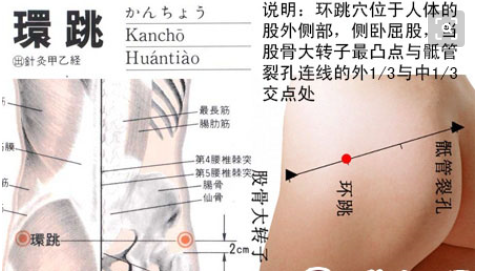 全身的血位图(人体八大重要穴位，位置图 功效一清二楚，良心整理，错过难得)