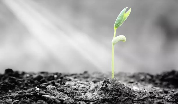 2020年高考作文与范文鉴赏：全国lll卷：云南广西贵州四川