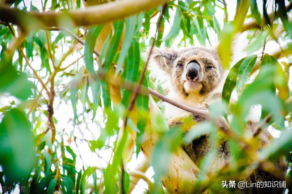 无法反驳(12个冷知识：可能会与你认为的有所不同，但你又无法反驳)