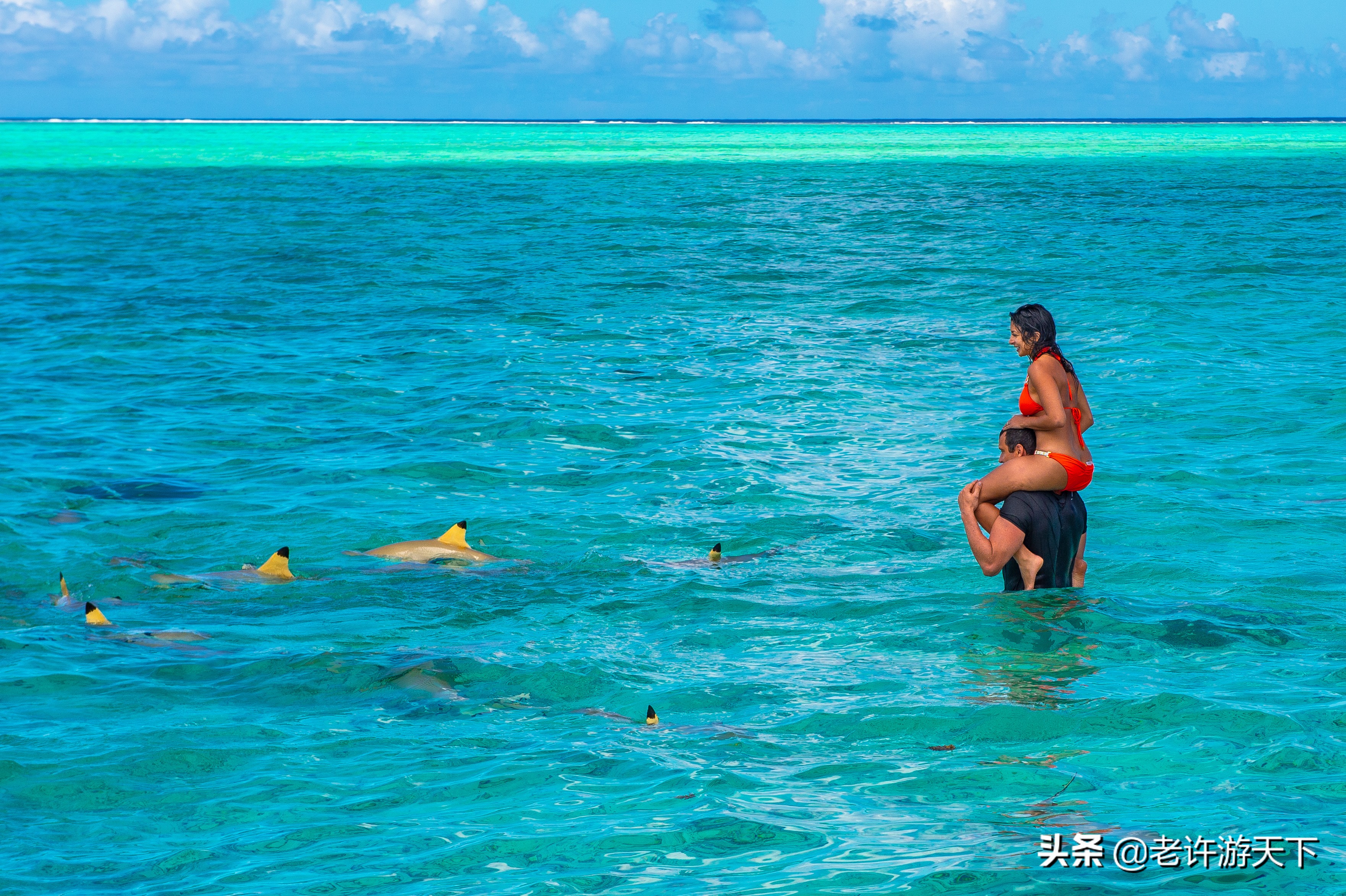 世界十大海岛旅游胜地（世界10个美丽海岛堪称度假胜地）