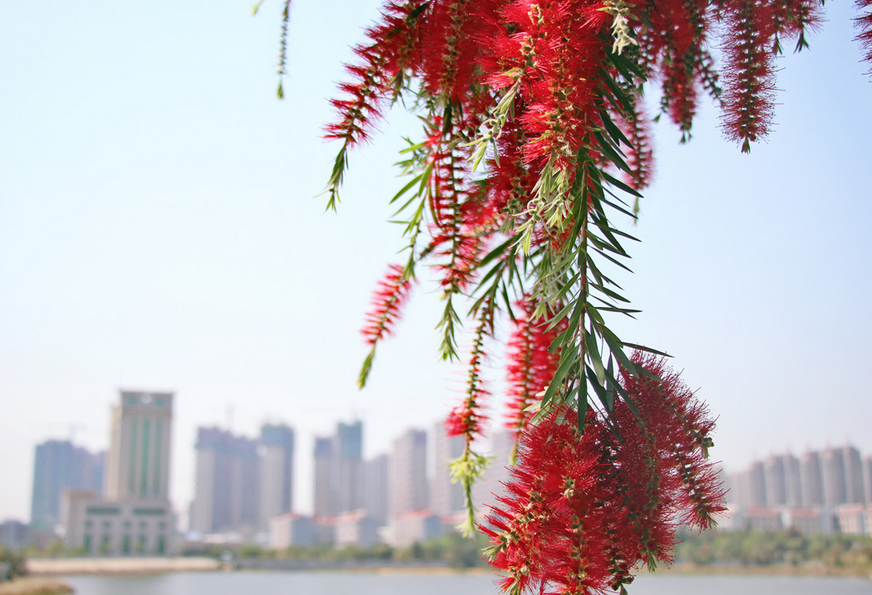 闽南理工学院2019年部分省市录取分数