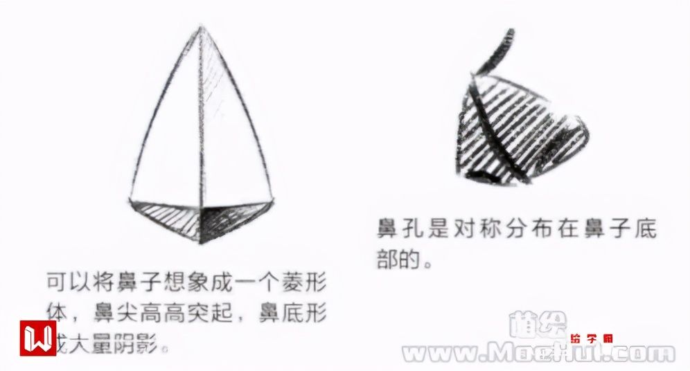 漫画鼻子怎么画简单又漂亮？鼻子动漫画法