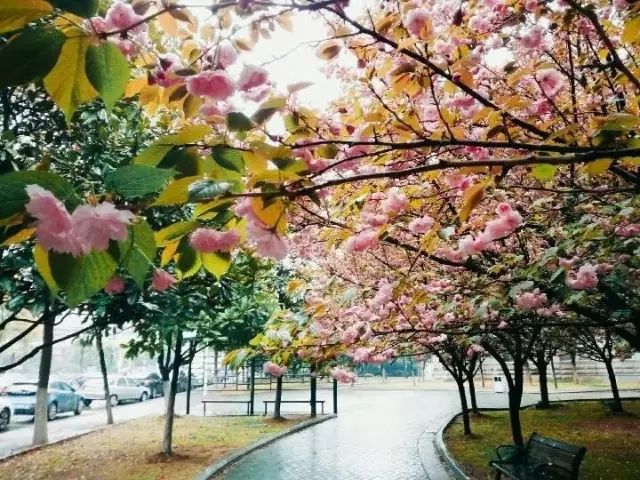 全国51所财经大学排名！中南大第4名，性价比很高，值得报考！