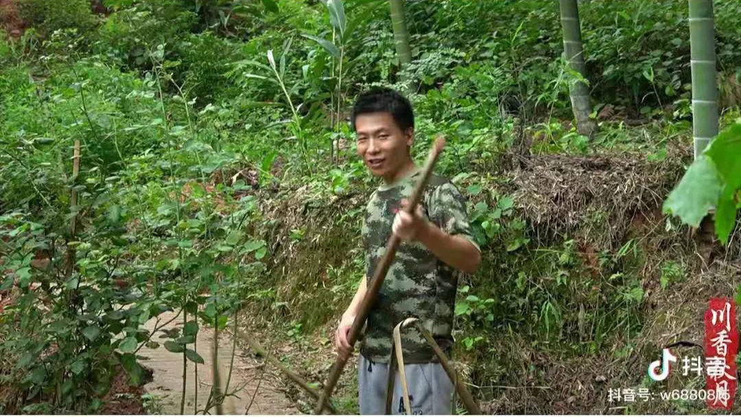 四川打工妹回家种地逆袭成千万大V,她把家乡的山货送上每张餐桌-识物网 - 数字新消费品牌知识门户