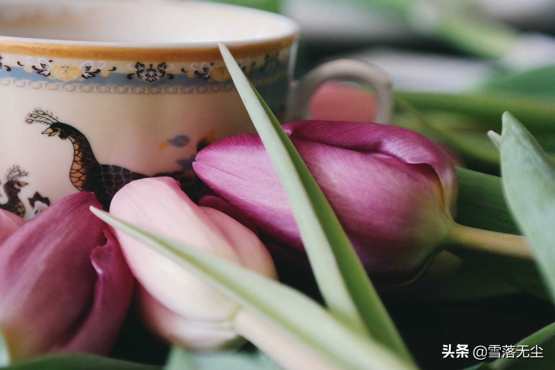 **聪明反被聪明误：世道险恶中的人性博弈与生存智慧**
