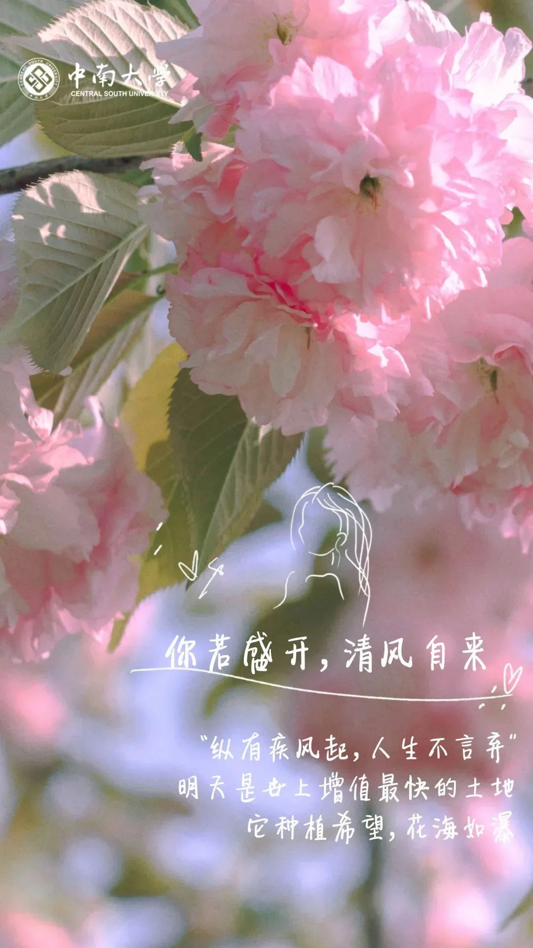 你的理想大学，终于被做成了手机壁纸