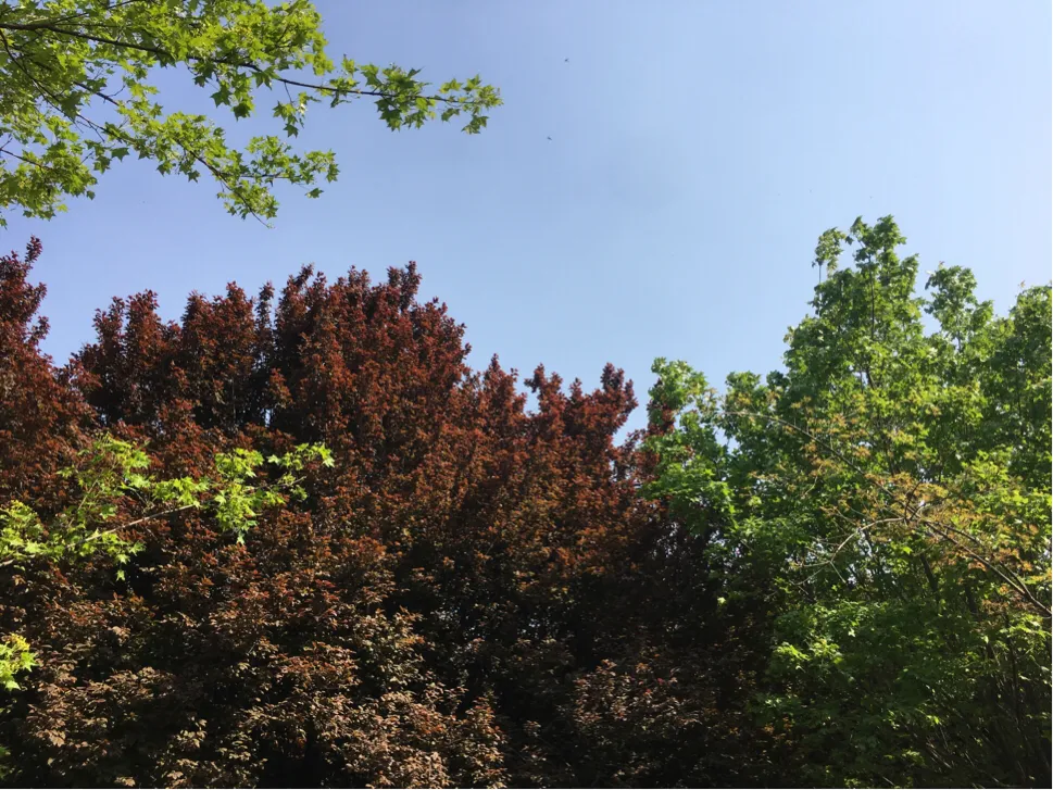 03年高考数学，为何难于上青天？（致03届考生）