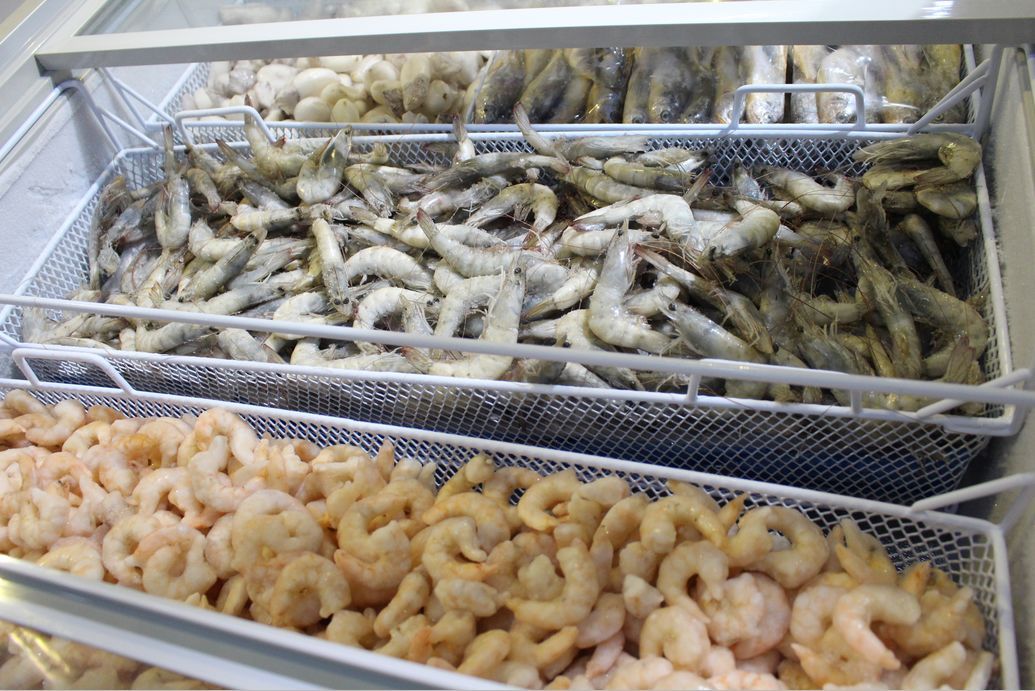 鱿鱼寄生虫图片(渔民从不吃2种海鲜) - 赤虎壹号