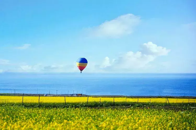 五月丨落花随春去，余香伴夏来