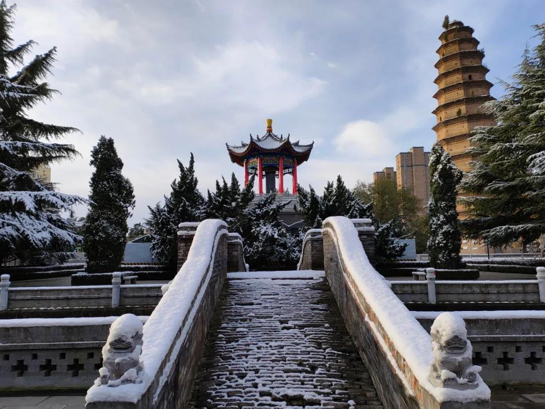 合陽縣初雪飄落 一夜兩季四重色