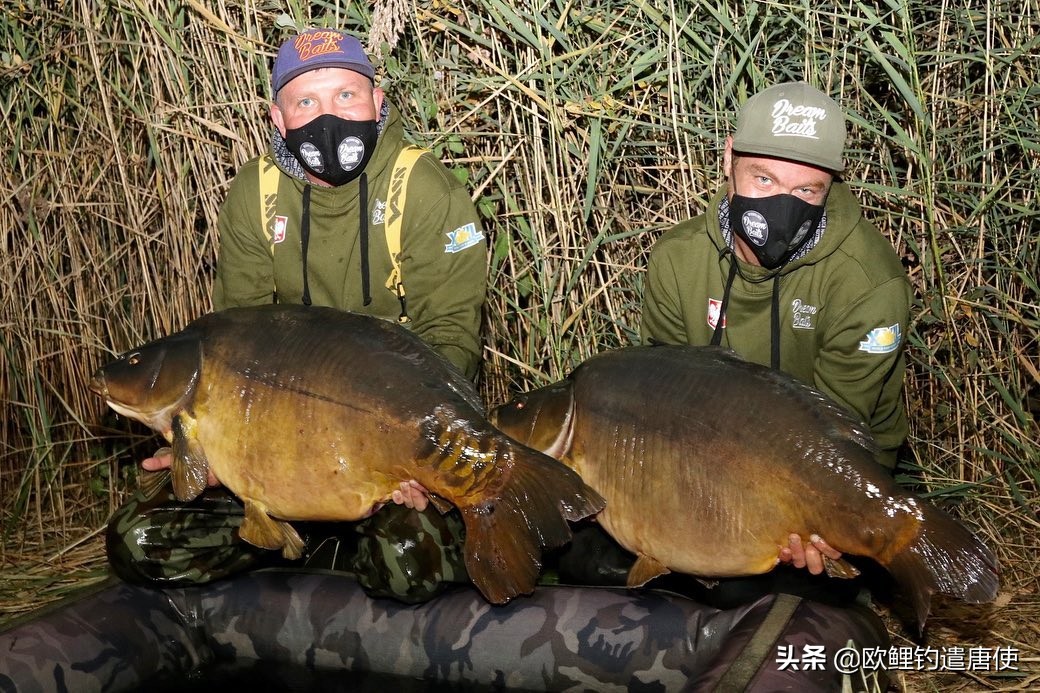 英国钓鱼爱好者世界杯大赛(欧洲疫情催生钓鱼热？名企推新手套装钓大鲤鱼)