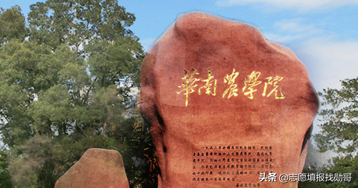 华南农业大学贴吧（广东这所）