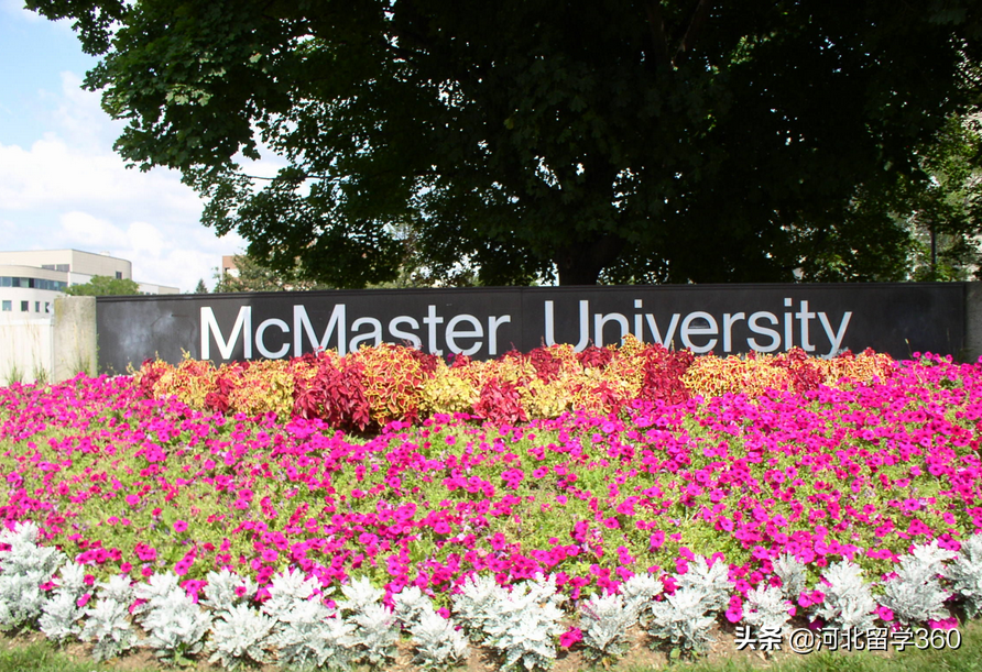 加拿大麦克马斯特大学世界排名「加拿大麦克马斯特世界排名」