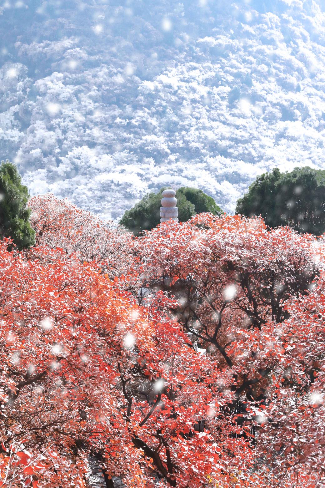 山东7市迎暴雪~雪后十大景点美爆，快来看