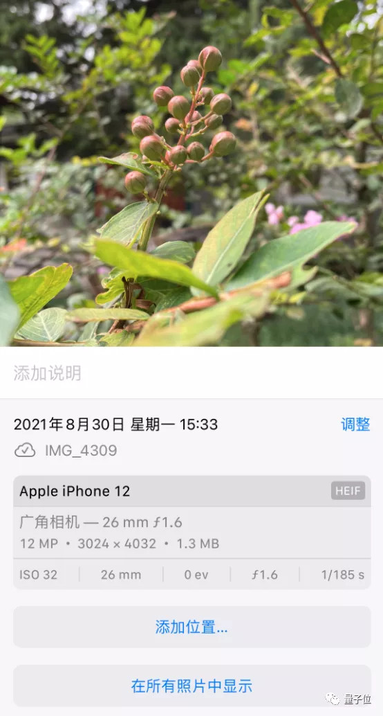 苹果iOS 15发布：关机也能定位，ASMR用户狂喜，又