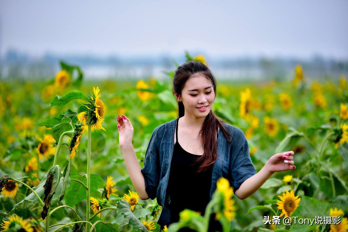 标准镜头拍摄的图片图片