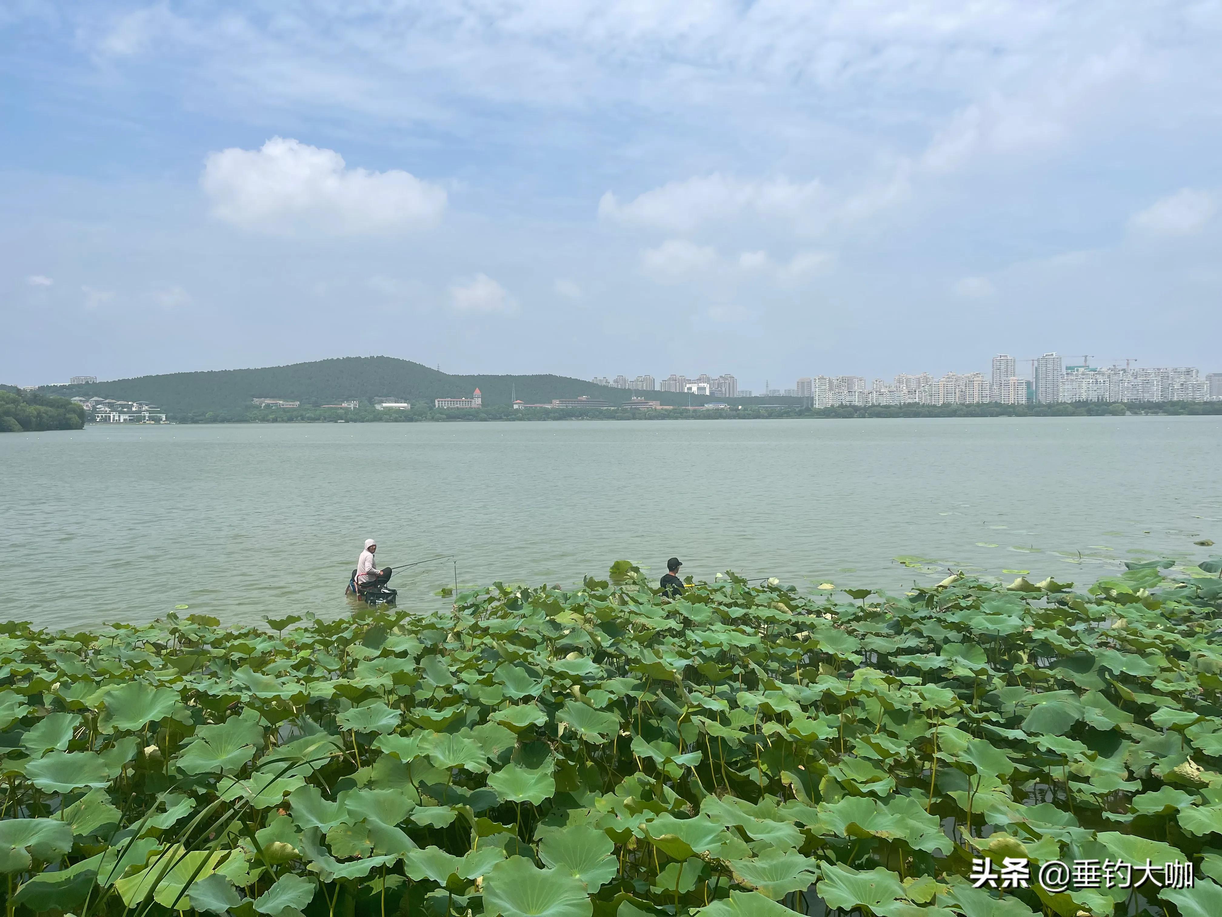 三款高性价比大物钓竿推荐：打造您的理想渔具组合