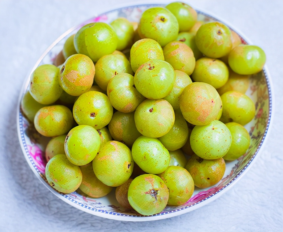 油柑子:一生大起大落,从山间野果到宫廷贡品,如今再一次翻红