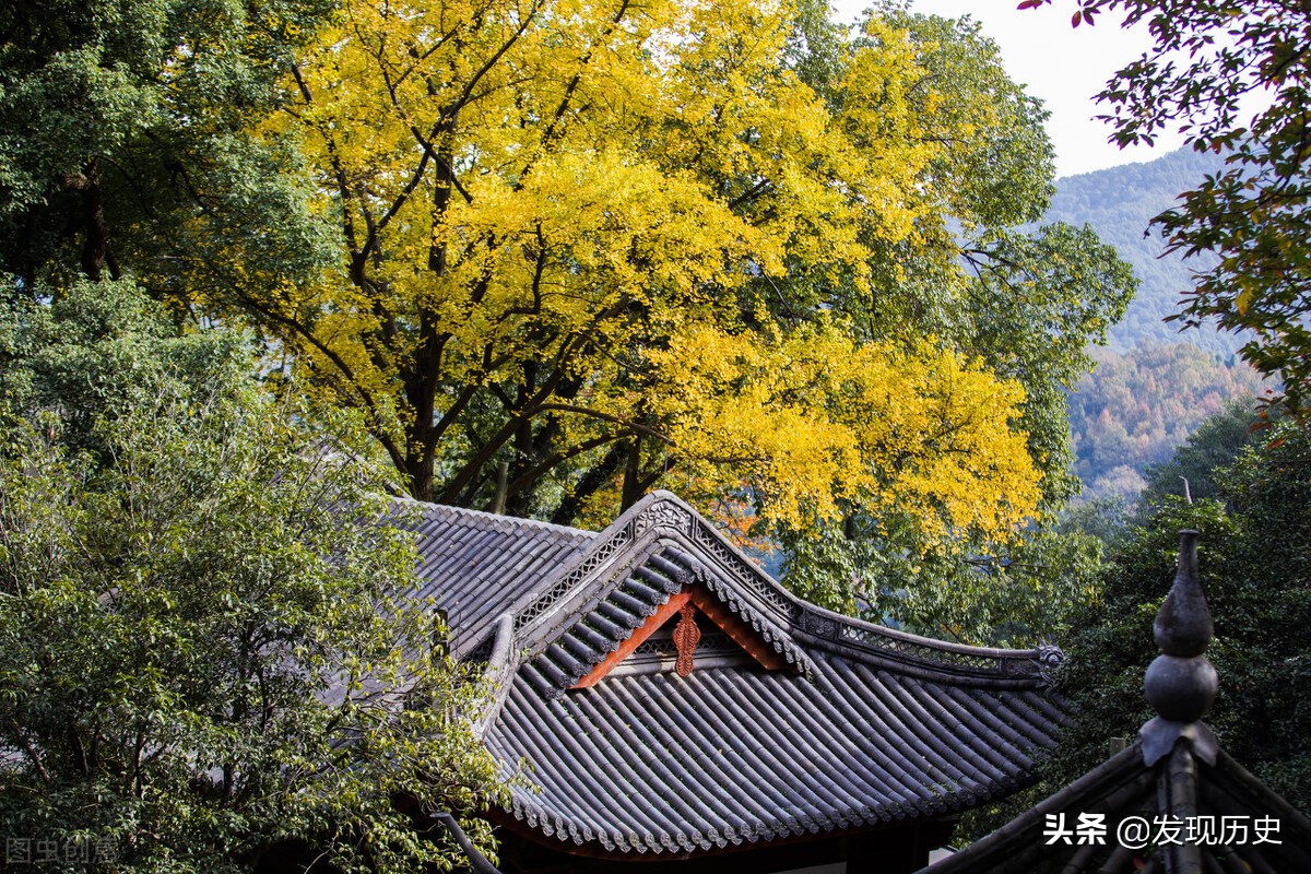 苏轼游玩时一首诗，不仅景色美，还写出了千古人生哲理