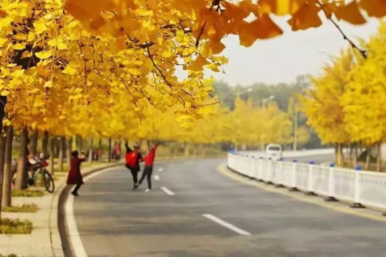 秦皇岛及周边深秋最惊艳的九条自驾路线，再不出发就晚了！