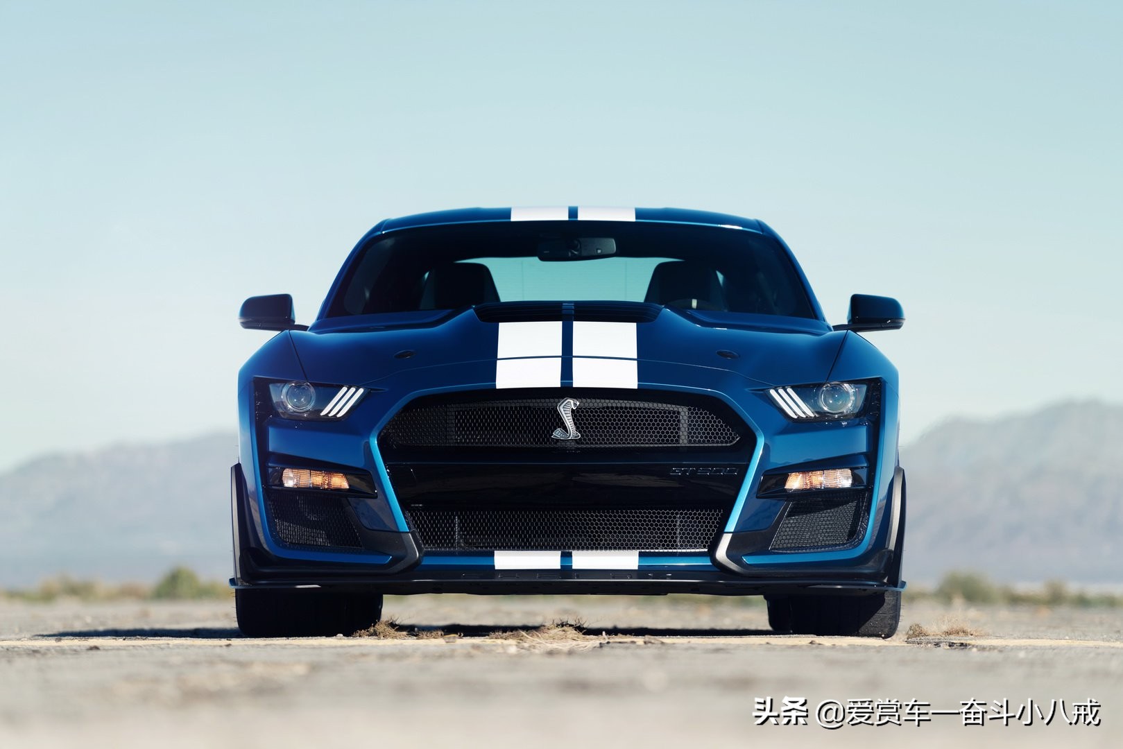 福特野马shelbygt500