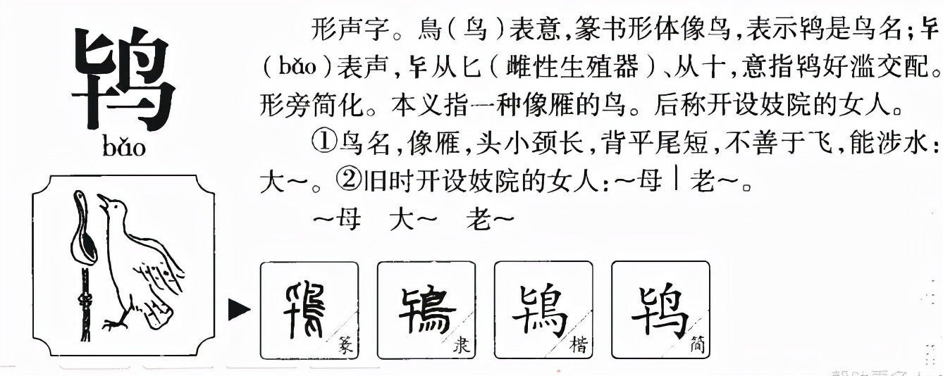老鸨的“鸨”怎么读？电视剧常见但是你会念吗？