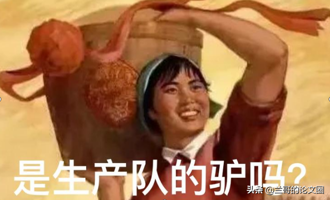 为保研发核心论文，本科生“跨界打劫”学术圈，硕博研究生慌了吗