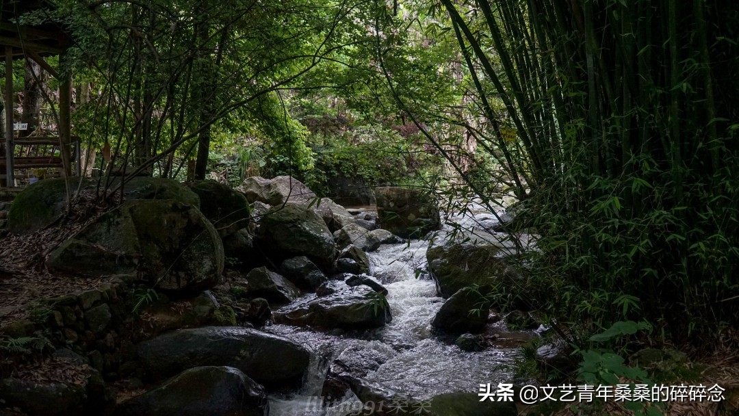 古村落、原始森林、火山岩，宝藏旅行地福建三明两日一夜打卡记